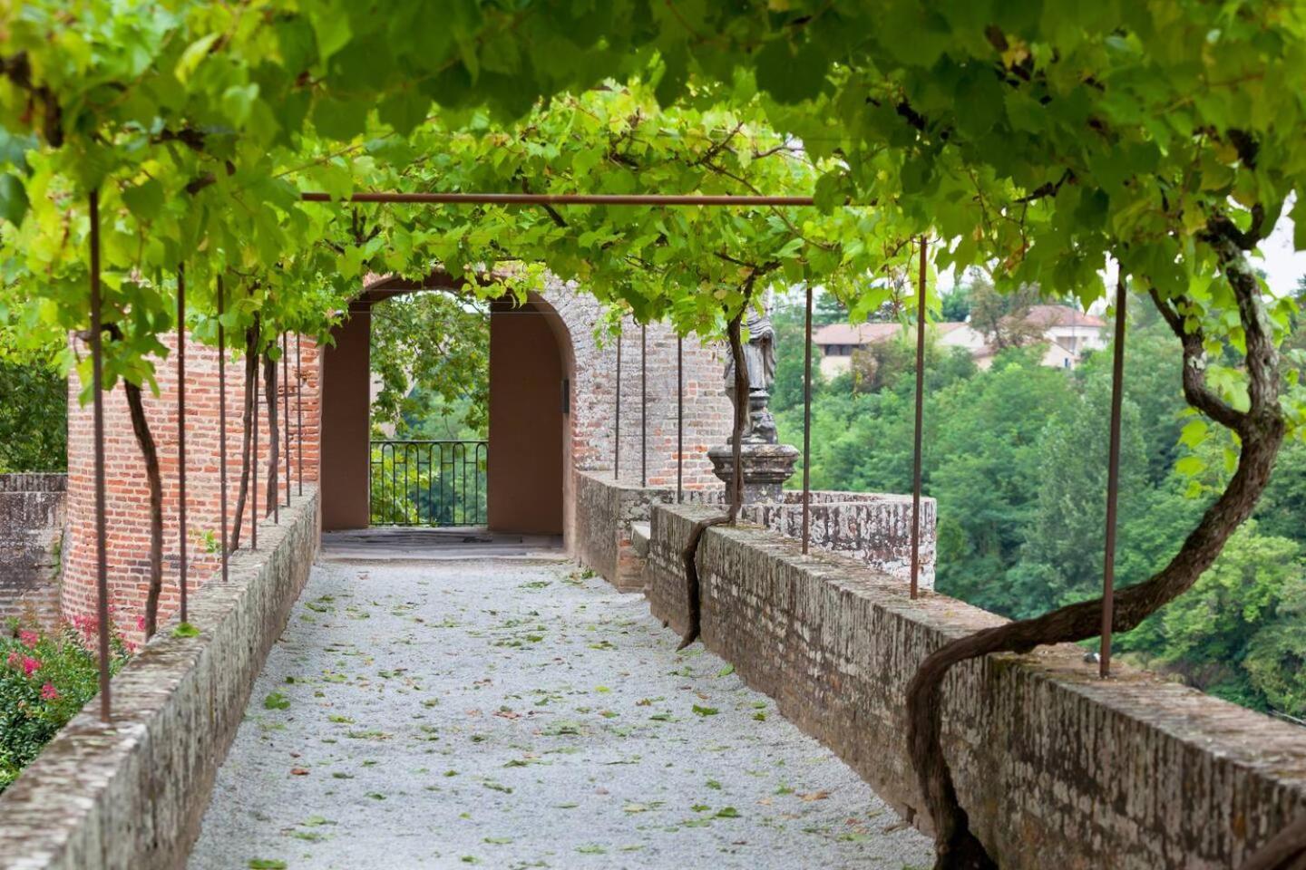 Appartement Albi Parking Gratuit エクステリア 写真